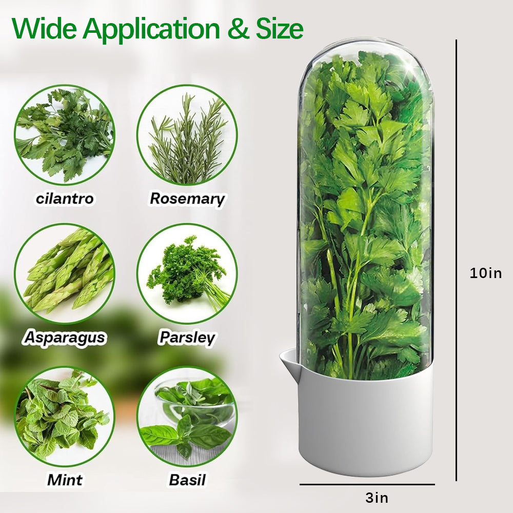 2 Pack Herb Keeper for Refrigerator, Clear BPA-Free Fresh Herb Saver