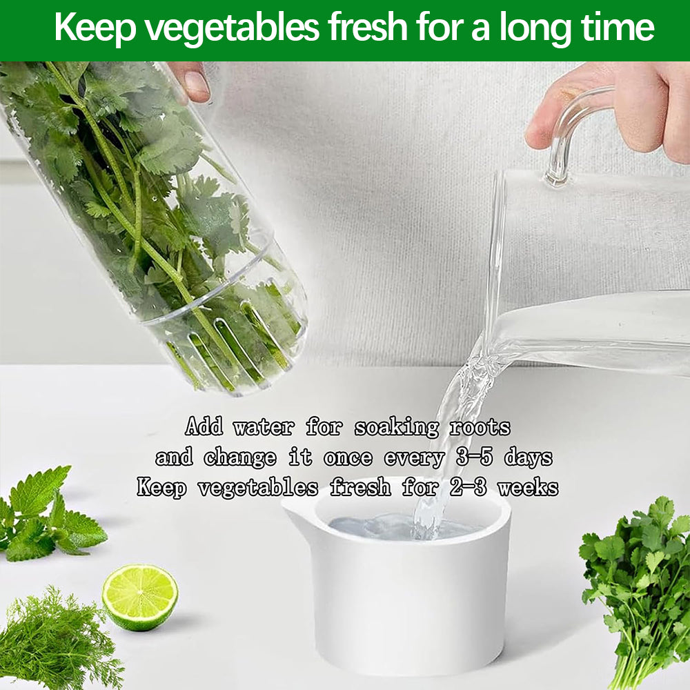 2 Pack Herb Keeper for Refrigerator, Clear BPA-Free Fresh Herb Saver